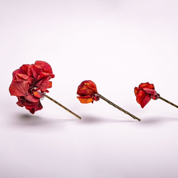 NIB LES COURONNES DE VICTOIRE  Ana Hairpins - Picture 1 of 5